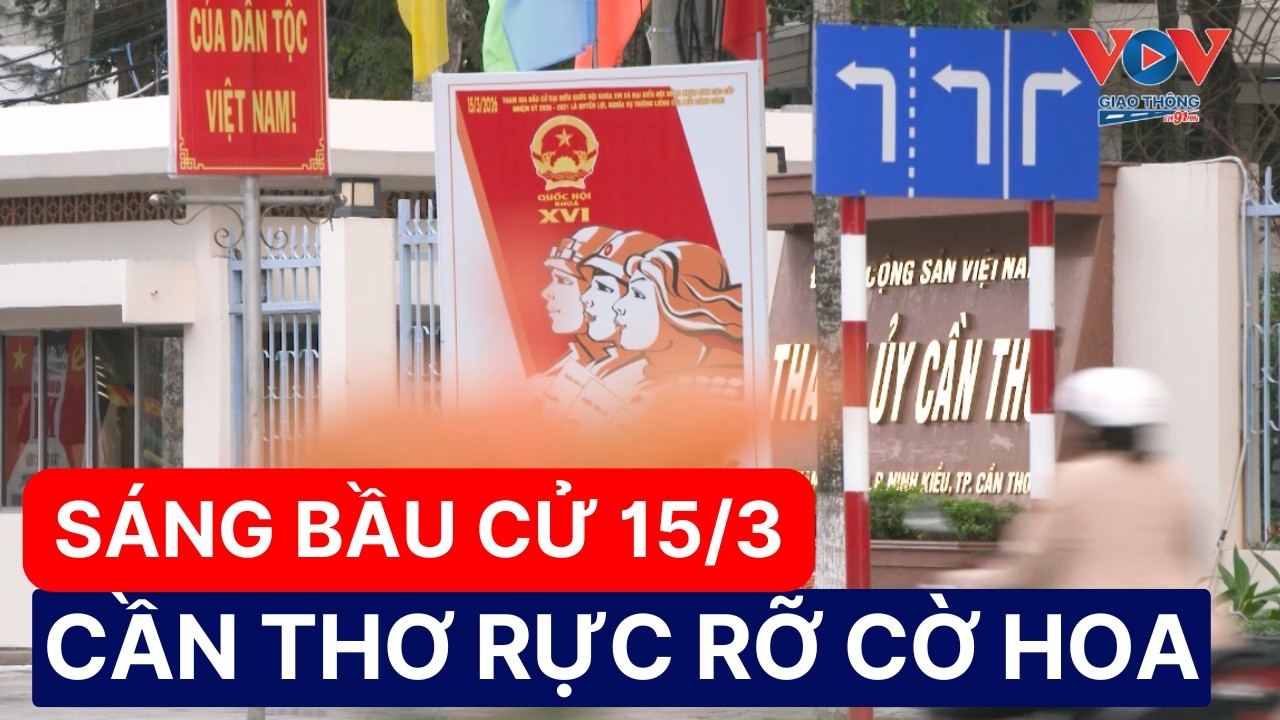Sáng sớm bầu cử 15/3: Cần Thơ rực rỡ cờ hoa #vovgiaothong #fm91