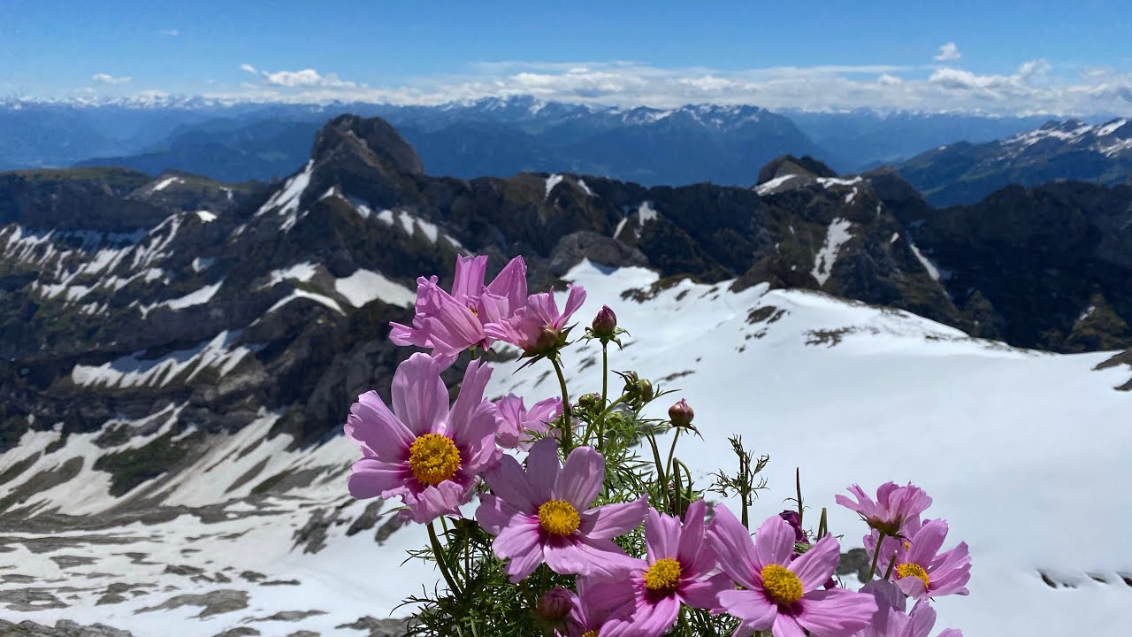 Säntis-Ausflug am 12. Juni 2020