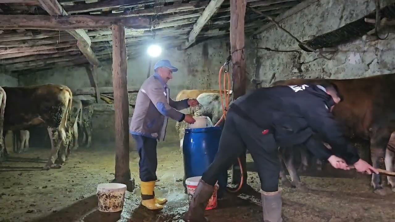 Birebir köyü aile temalı kısa filimi
