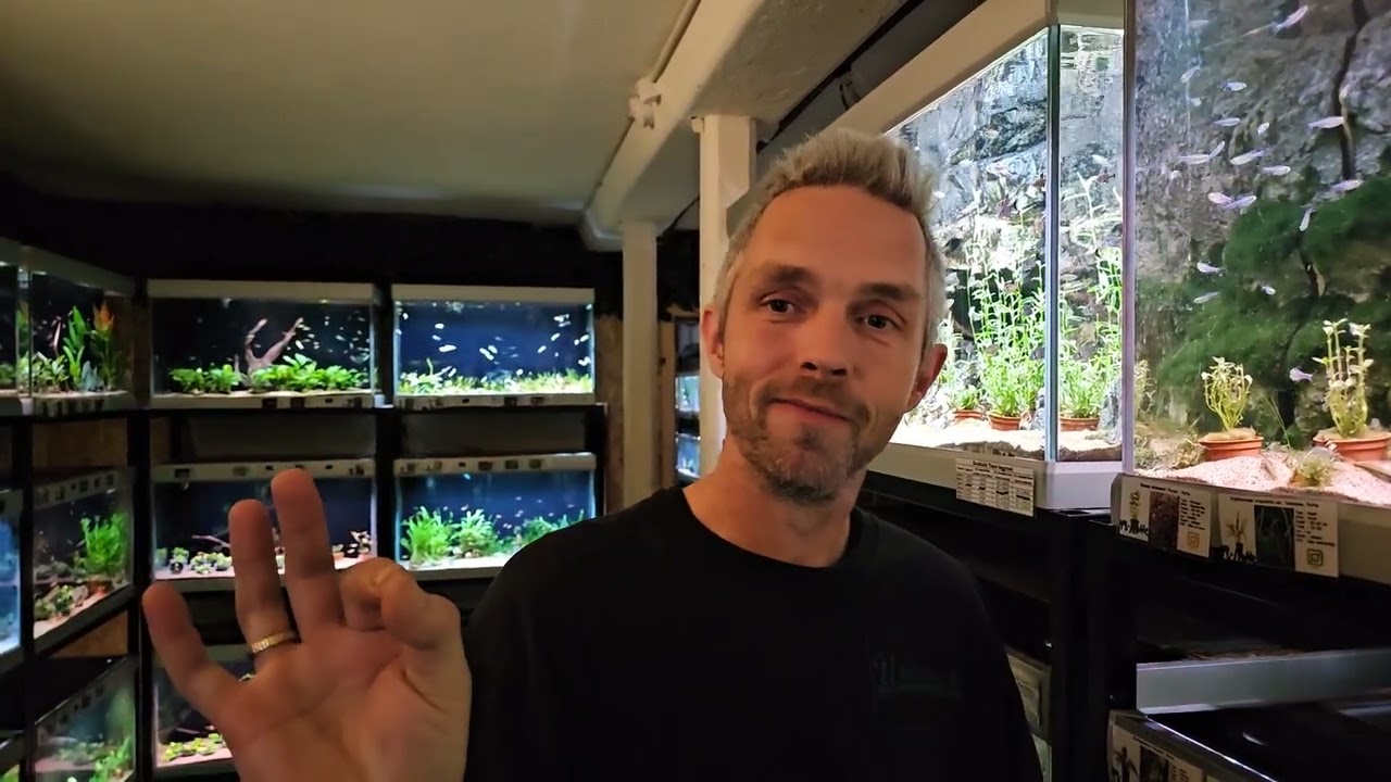 Fredagsfilm - Planter og fisk!