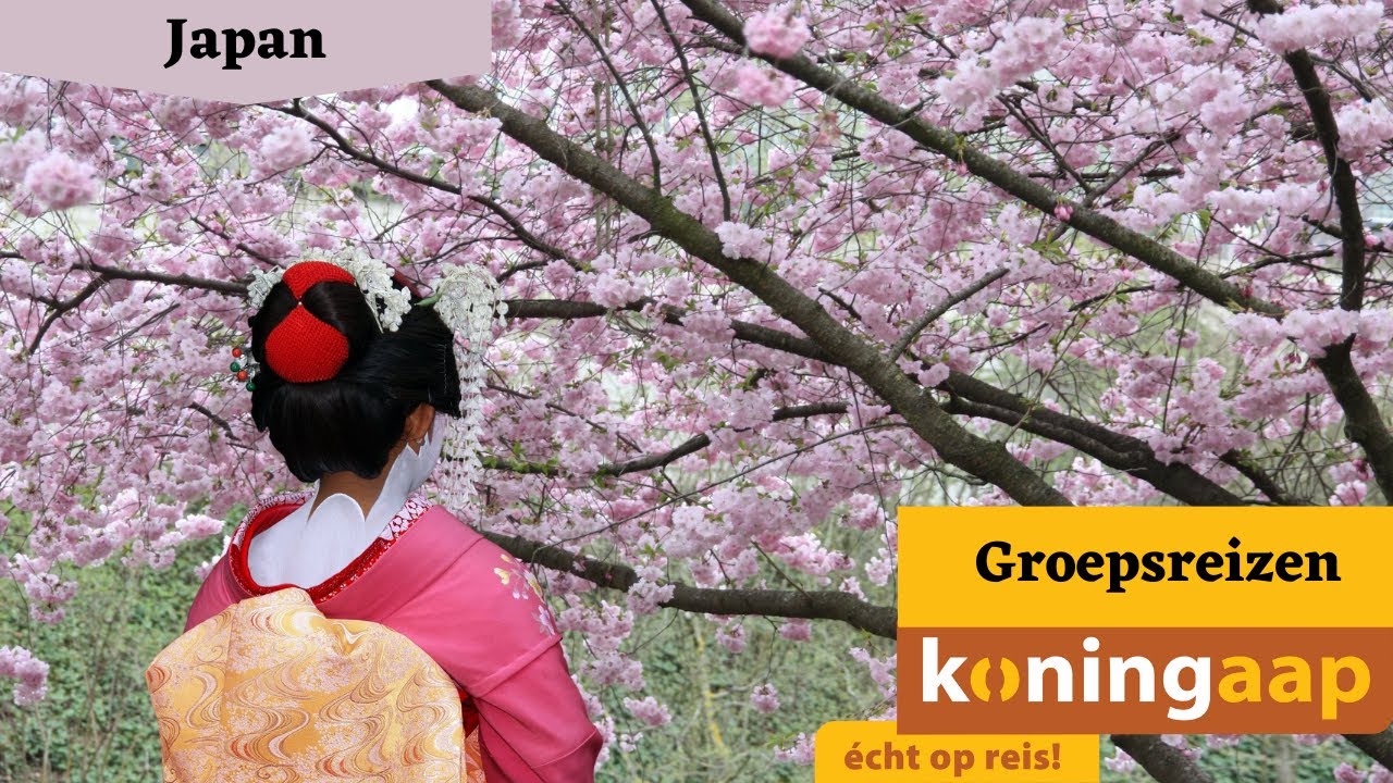 Online presentatie: Japan Groepsreizen