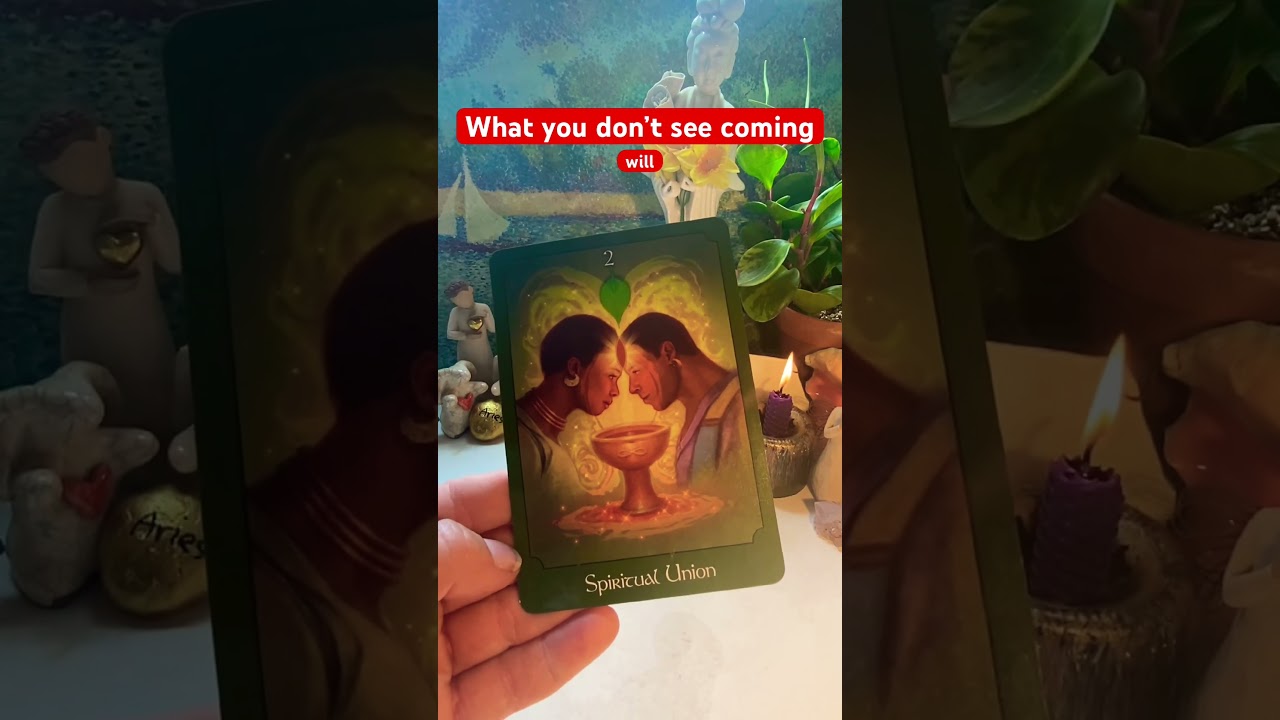Ready or not here they come! #soulmate  #mindblown