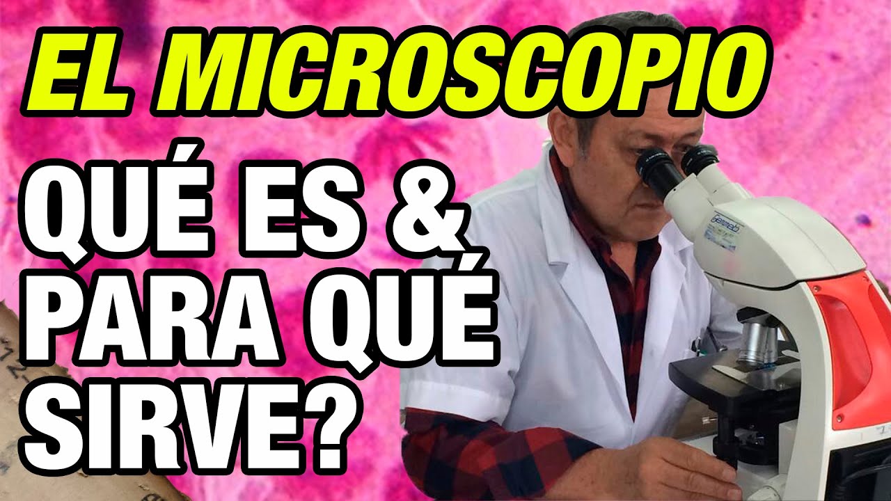 Qué es el microscopio y para qué sirve?