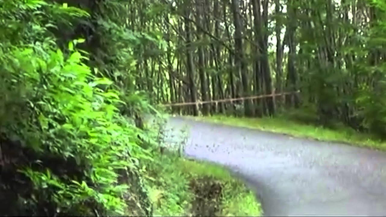 Rallye du sidobre 2014 benjamin et charlene Villar