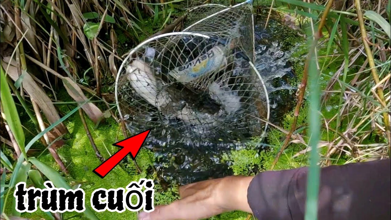 Chinh Phục Hàng Khủng Bự Nhất Đầu Mùa Tới Giờ