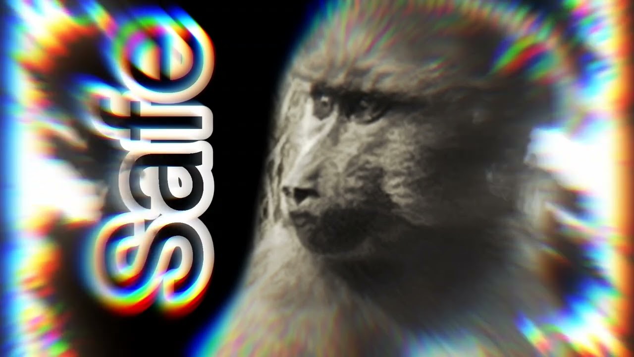 Baboon Protection Afro House mix