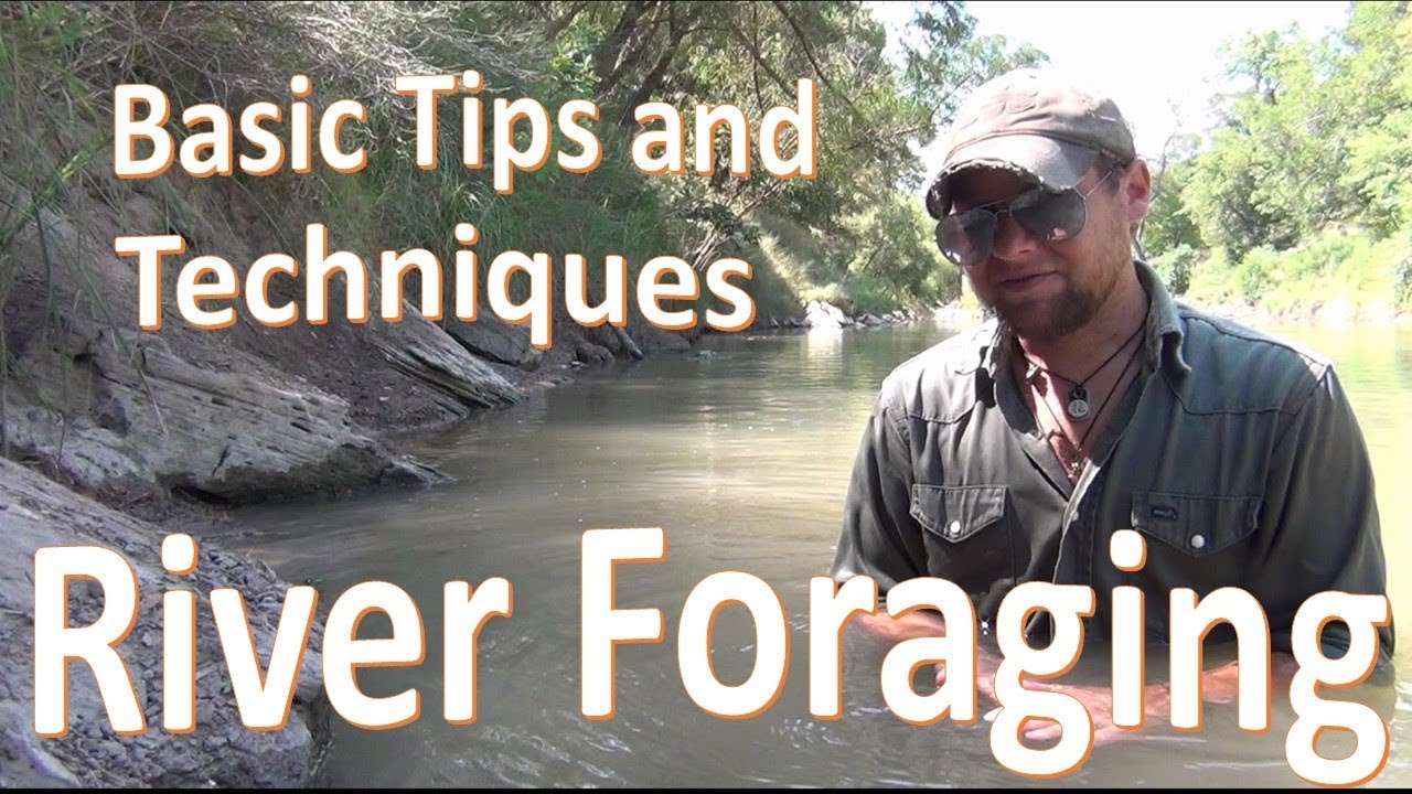 River Foraging -Finding Food at the Water-