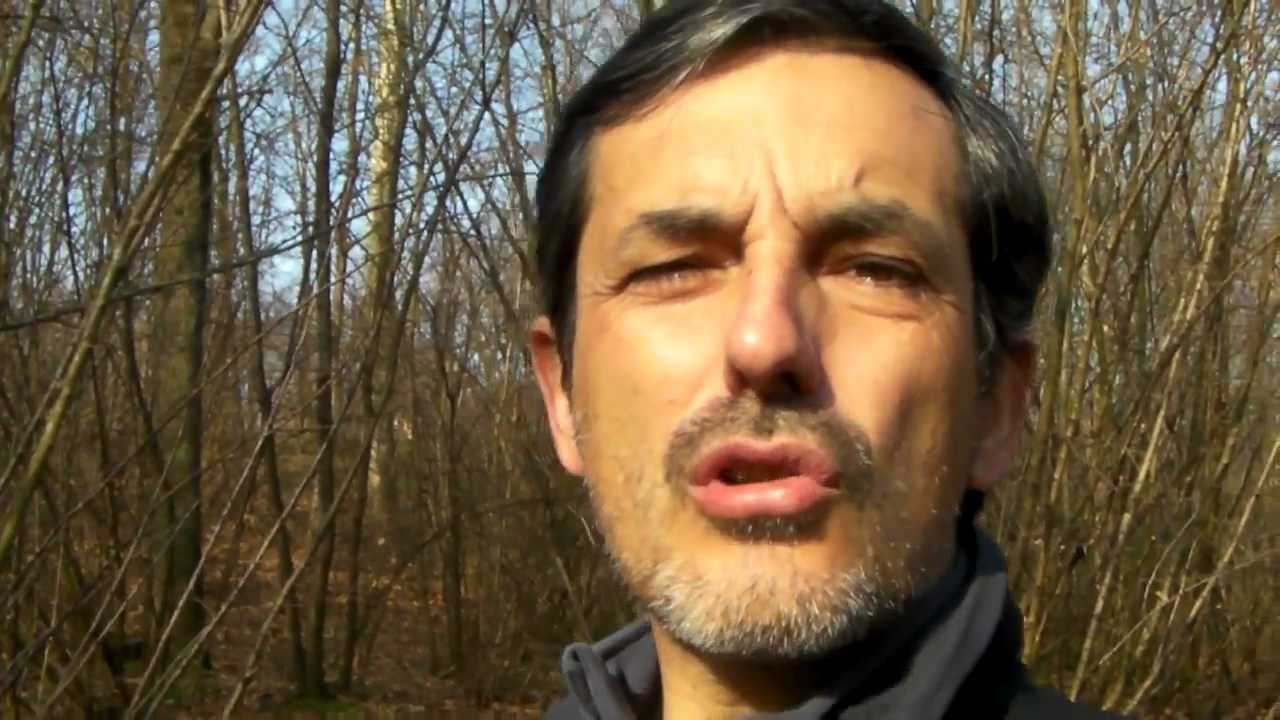Video Come battere la timidezza 13 