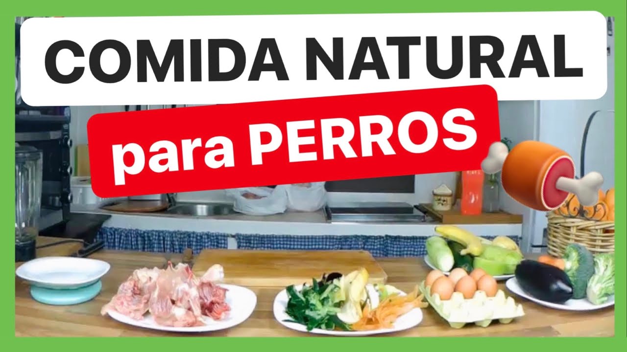 COMIDA para PERROS 🍖 (FÁCIL, NATURAL y ECONÓMICA ✅) ► DIETA BARF