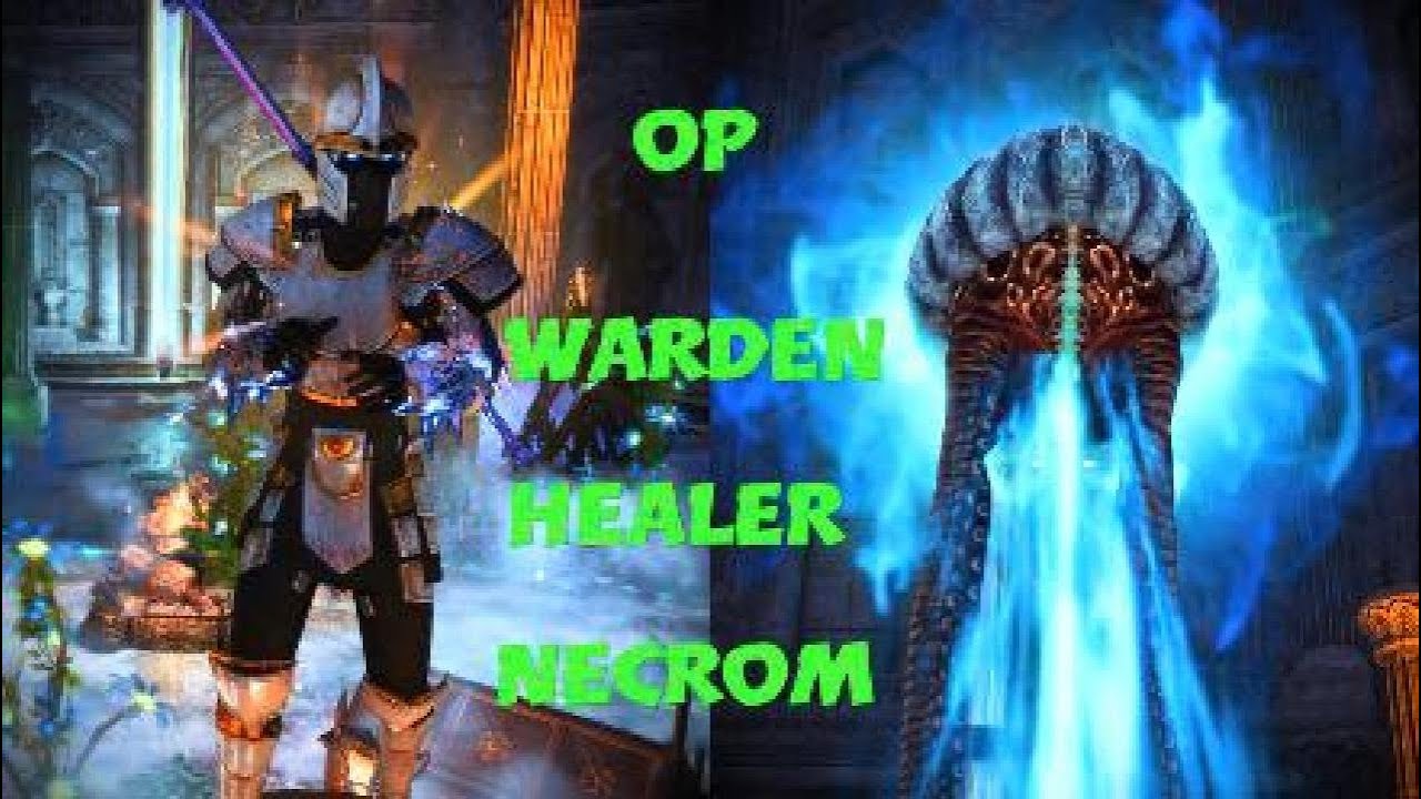 Eso warden healer pvp build (necrom)