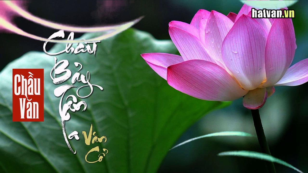 Chầu Bảy Tân la ( Văn Cổ )