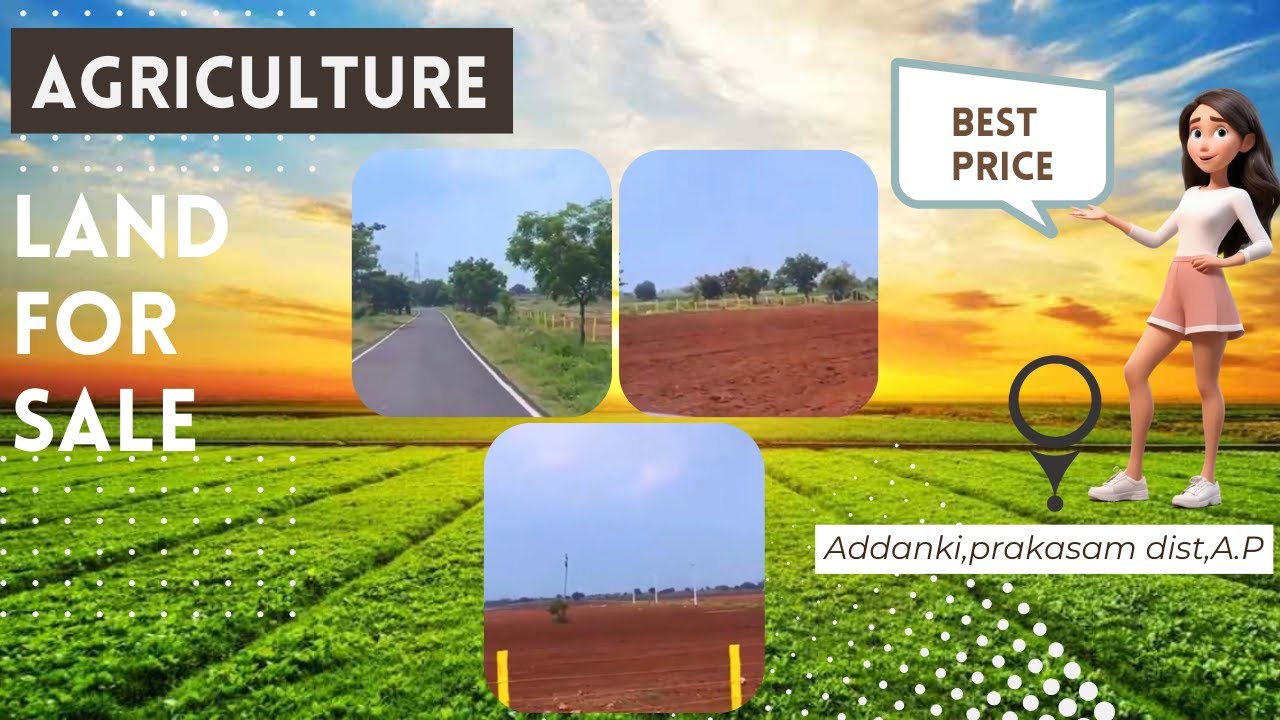64 Acres Agricultural Land for Sale in Addanki, Andhra Pradesh | Best Investment Opportunity!