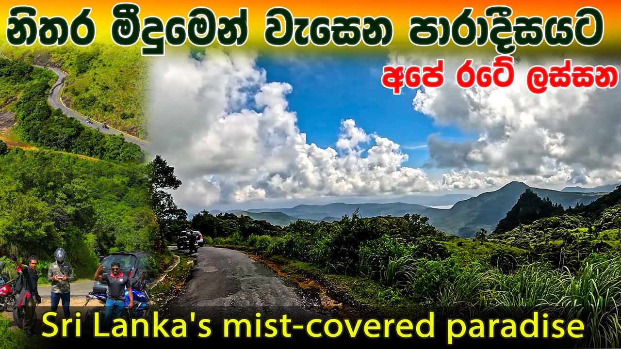 මීදුමෙන් වැසෙන පාරාදීසයට ආයෙත් ගියා | Riverston Matale | Adventure in Knuckles | walawwa vlog 4