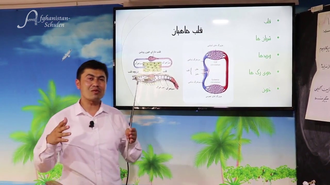 (بیولوژی صنف یازدهم(دوران خون حیوانات فقاریه