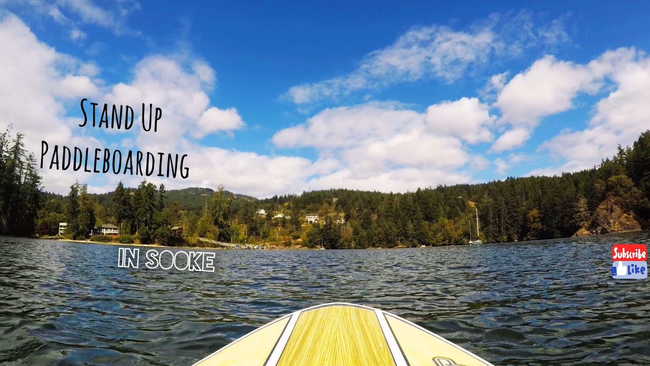 STAND UP PADDLE IN SOOKE  | Water Sports | SUP | Vancouver Island