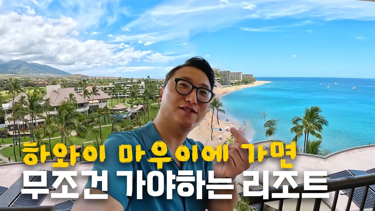 하와이 신혼여행🏝️ 마우이 가성비 리조트 방문 Review | 쉐라톤 마우이 / 와일레아 비치 메리어트