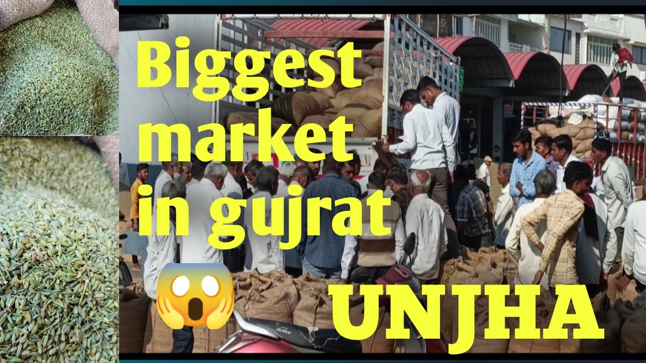 UNJHA MARKET VLOG|😱|beew vlogs|