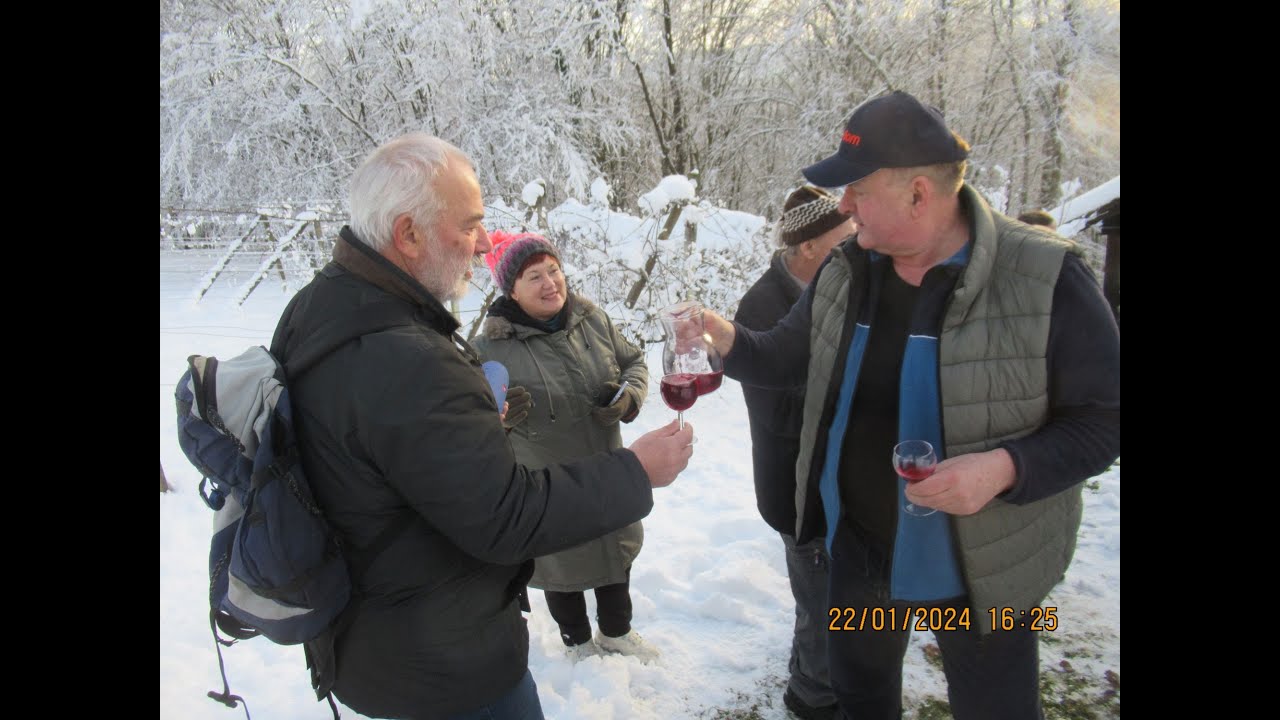 Vincekovo v Vitovcu in rezanje - obrez prve trte letos v mojem vinogradu - odpornih sort grozdja