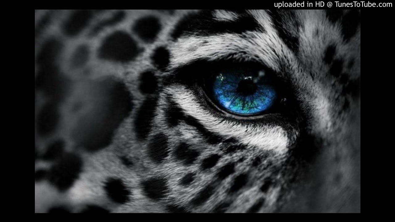 Junior - Nem ismersz