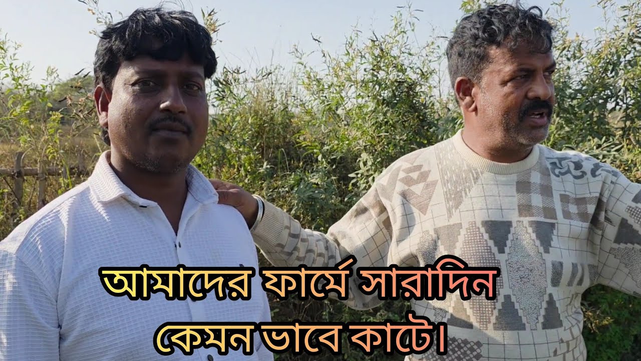 আমাদের ফার্মে মাছ চাষ ও কৃষি কাজ। #grambanglavillagefarming 