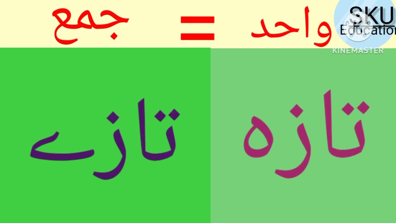Wahid jama in Urdu|| واحد جمع || Singular Plural||वाहिद जमा उर्दू में||