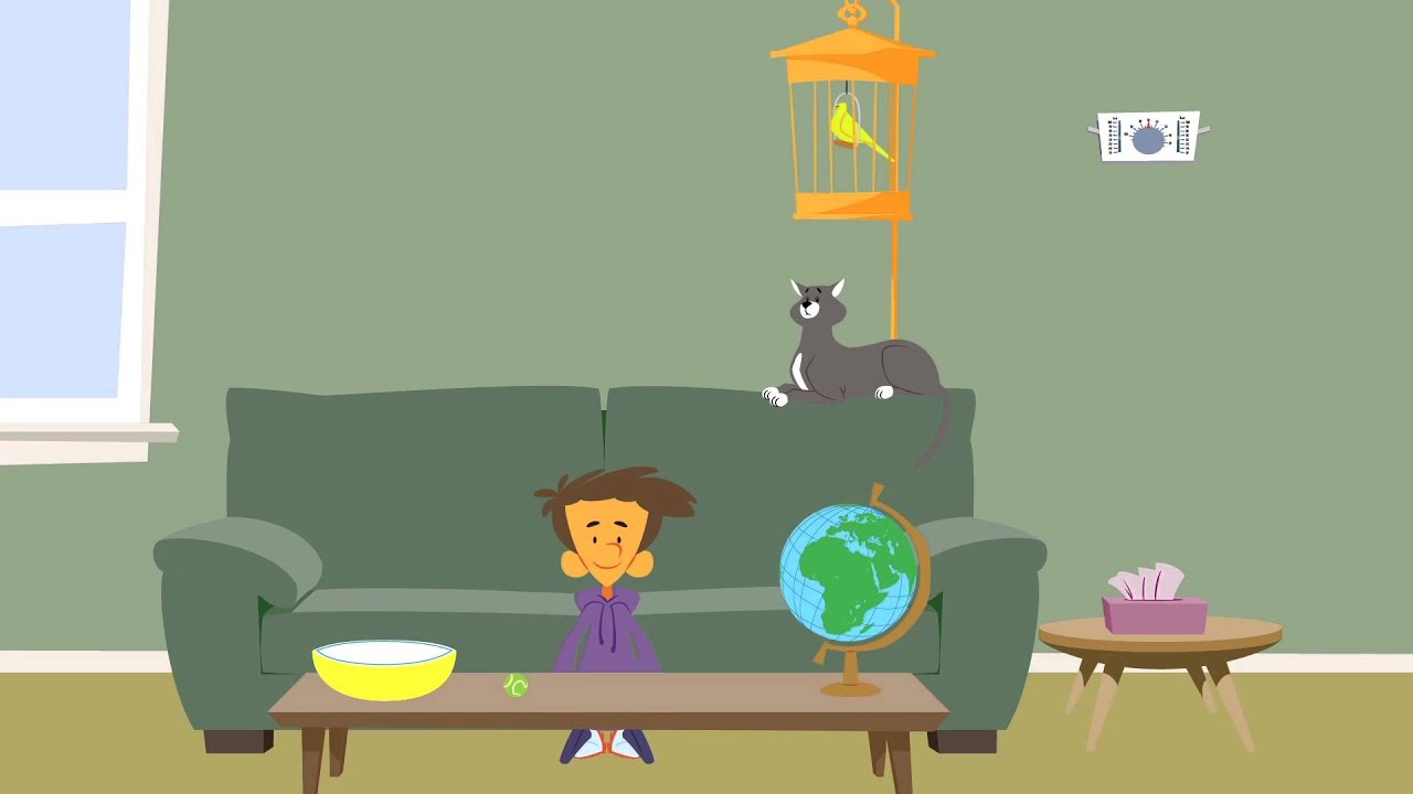 Equilibrium animation