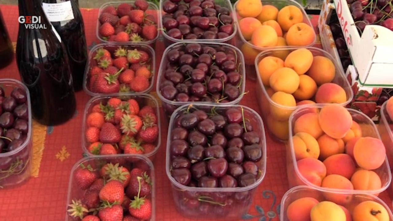 Vignola, una stagione amara per le ciliegie modenesi