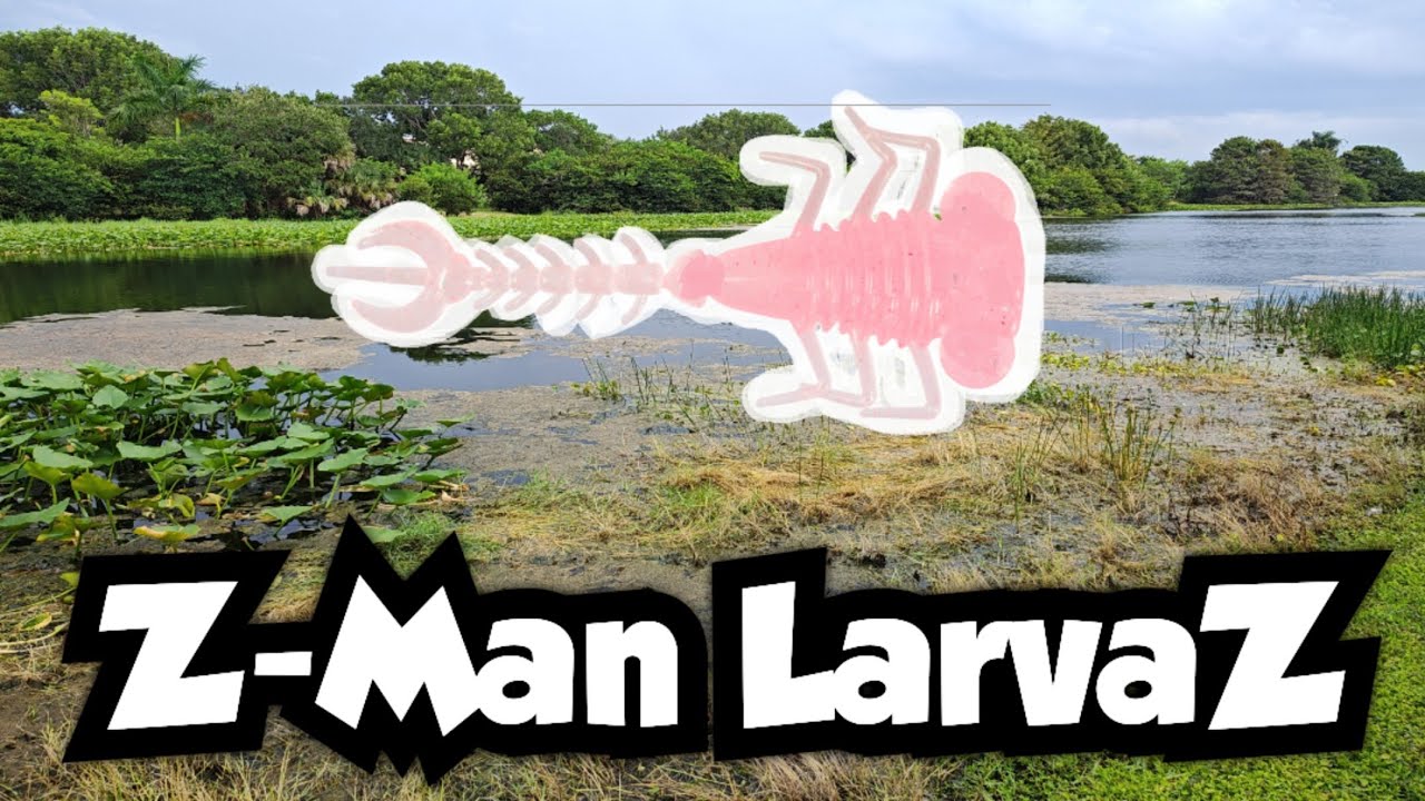 Fishing with the Z-Man LarvaZ | Micro Finesse Fishing