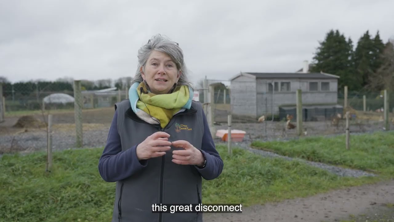 Doon Social Farm - #BallyhouraCommunityReImagined