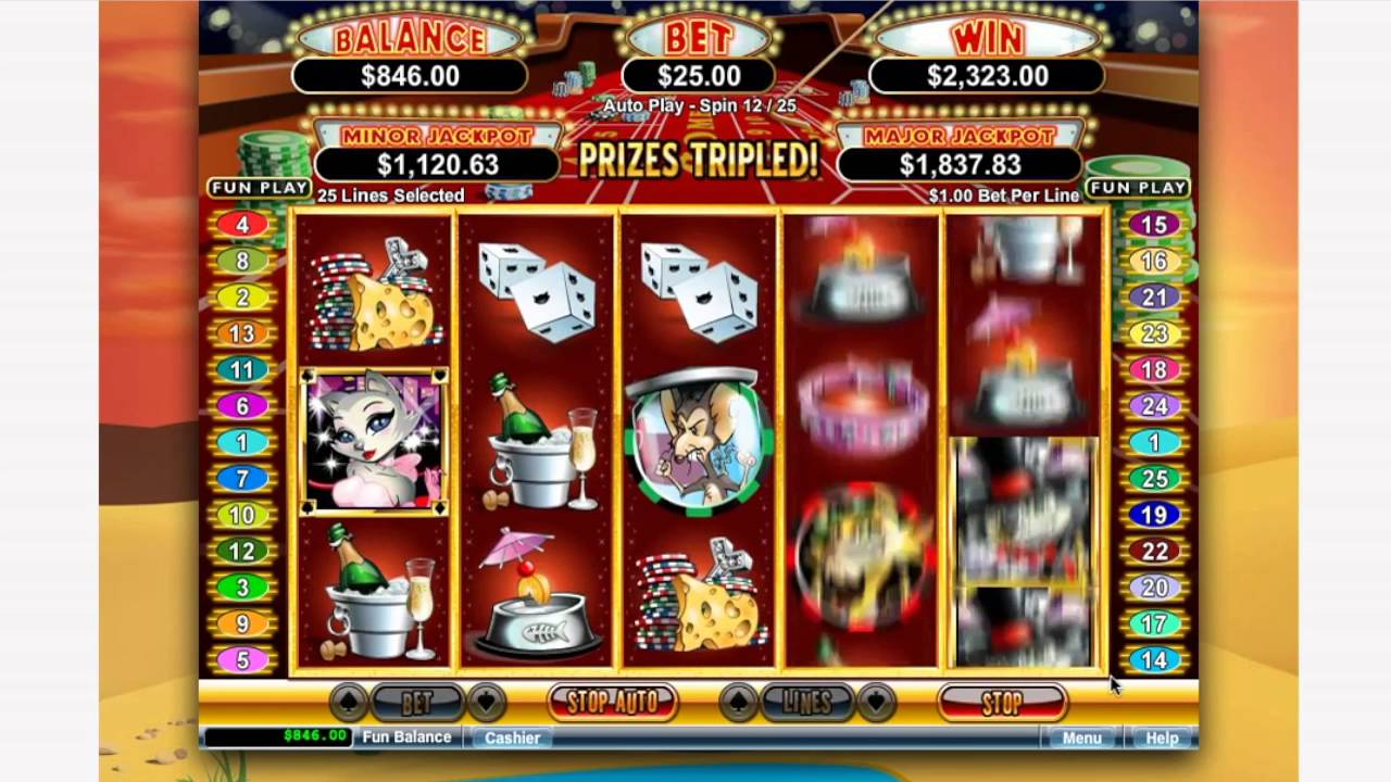 Cool Cat Casino