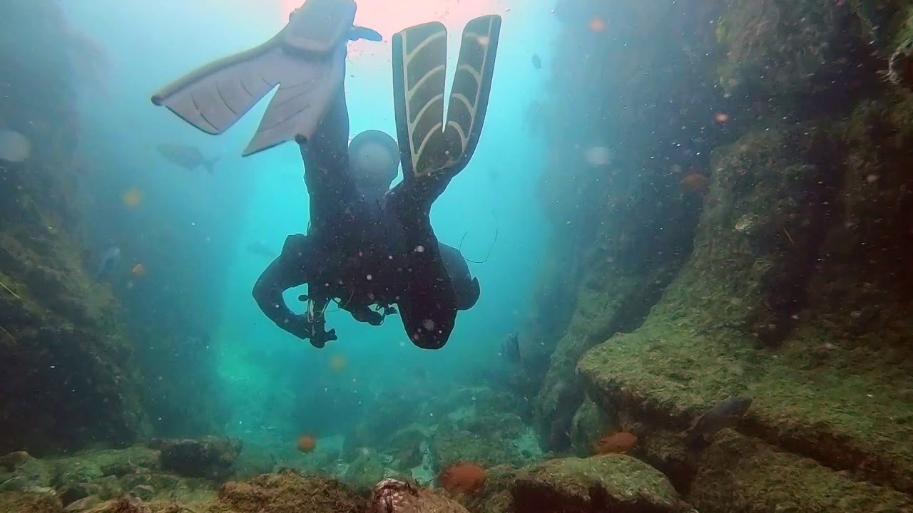 Scuba Diving - Shaw's Cove, Laguna Beach (March 2020)