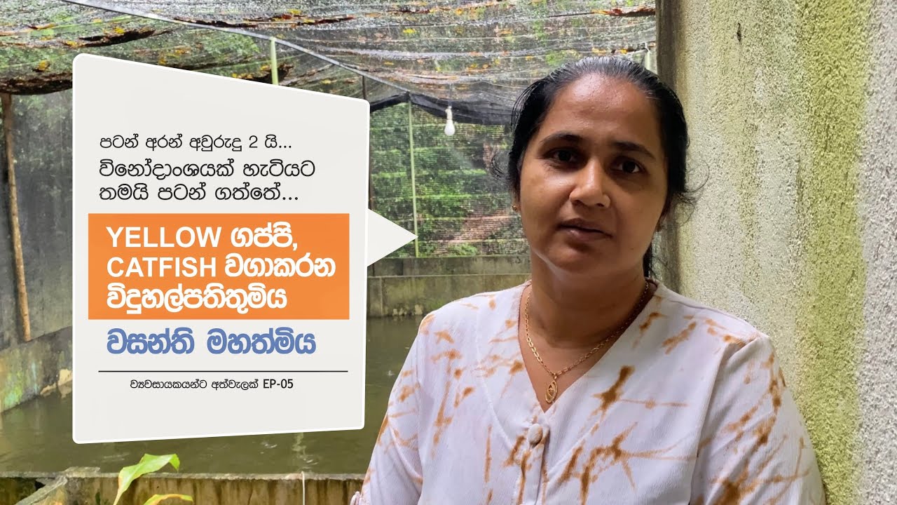 ගප්පි, කැට්ෆිෂ් වගා කරන විදුහල්පතිතුමිය I විසිතුරු මාළු කර්මාන්තය