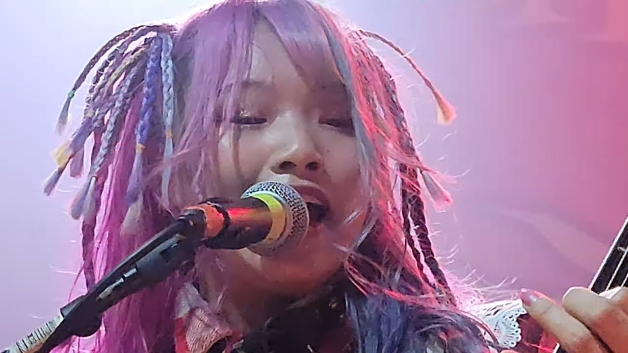 HANABIE. - TOUSOU - Osaki ni Shitsurei Shimasu - Today's Good Day & So Epic (Live in Madison, WI)