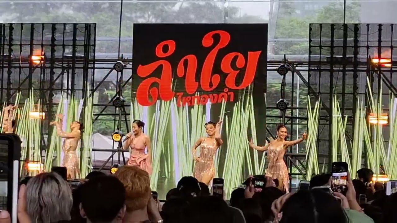 ลำไย ไหทองคำ(รวมโชว์งานสยามพารากอน) | NINEENTERTAIN BIRTHDAY FESTIVAL 2024@SIAM PARAGON #ลำไยไหทองคำ