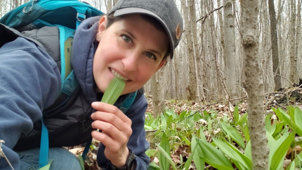 Hunting for Wild Leeks