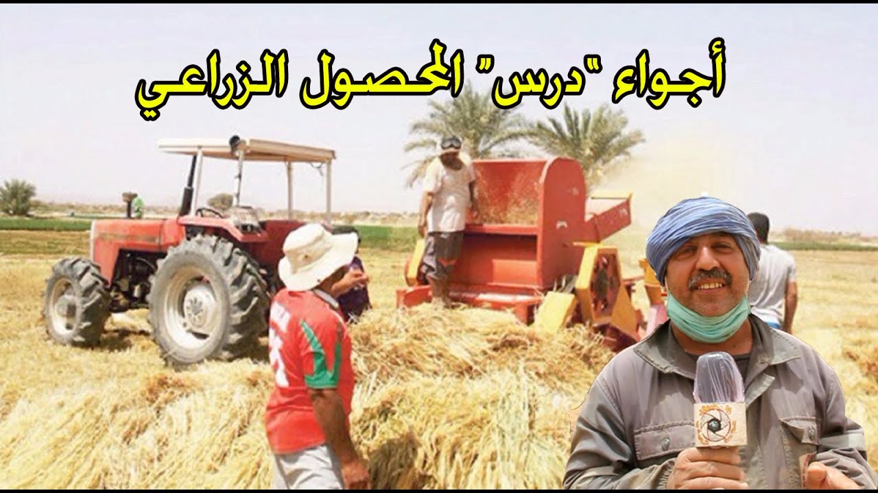شاهد أجواء 