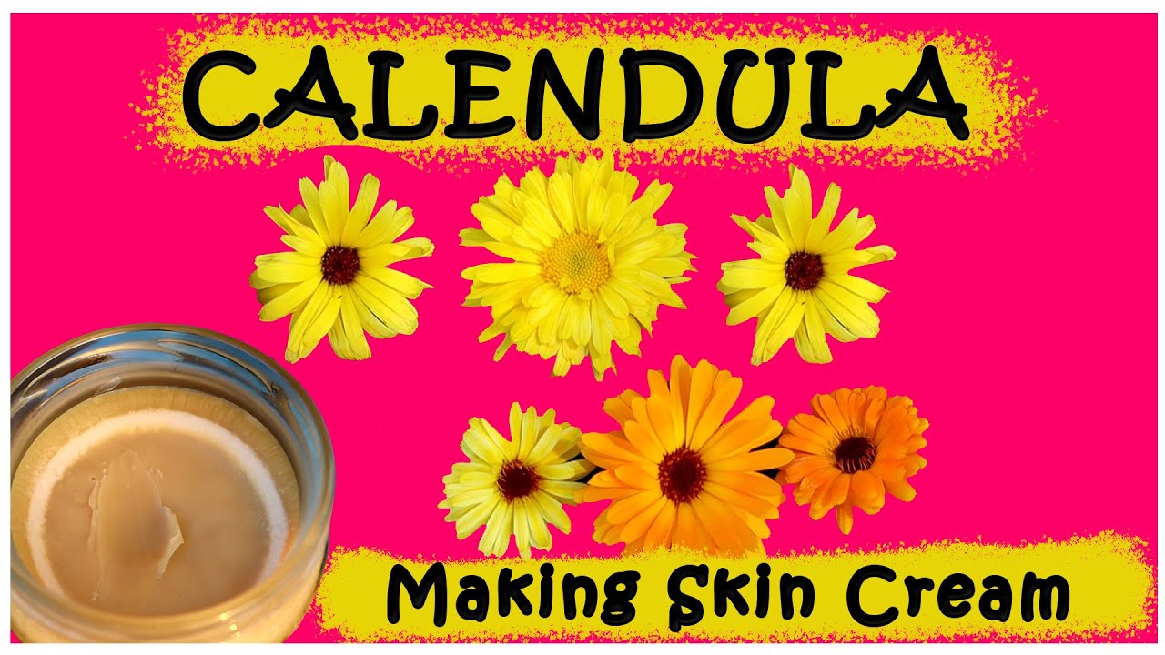 How to make SKIN CREAM from CALENDULA FLOWER | Marigold