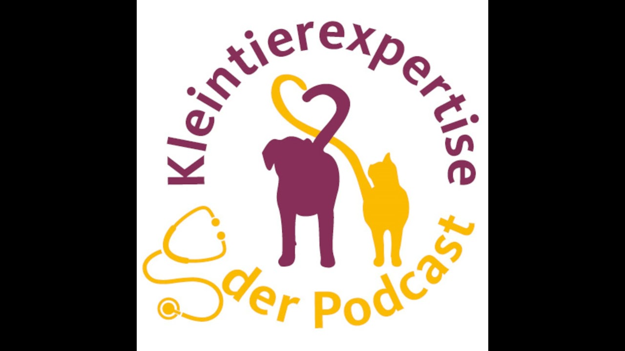 61. Wenn das Hundeherz schwach wird – DCM einfach erklärt
