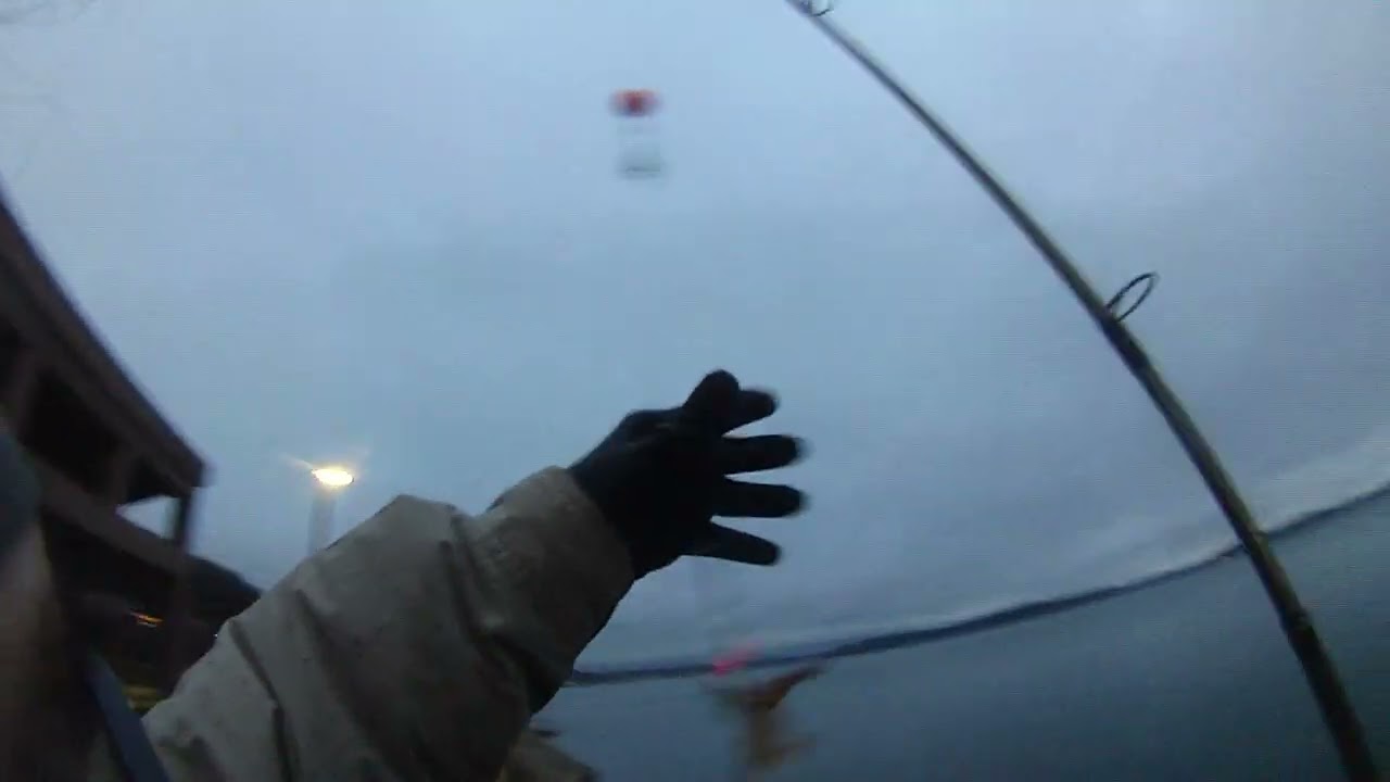 Кальмар кальмар кальмар