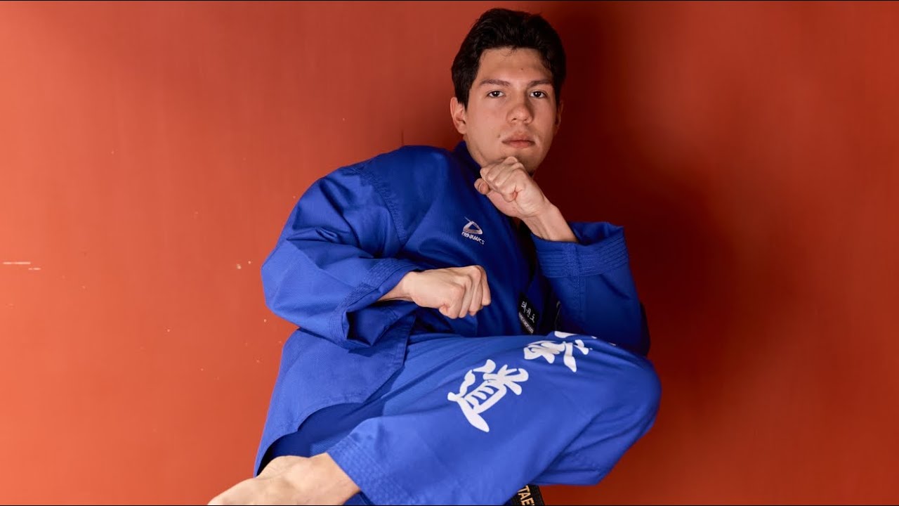 Dragonwarrior Taekwondo Taichi 진식태극권 용문권 약속대련 삼권데이쓰 (updated)