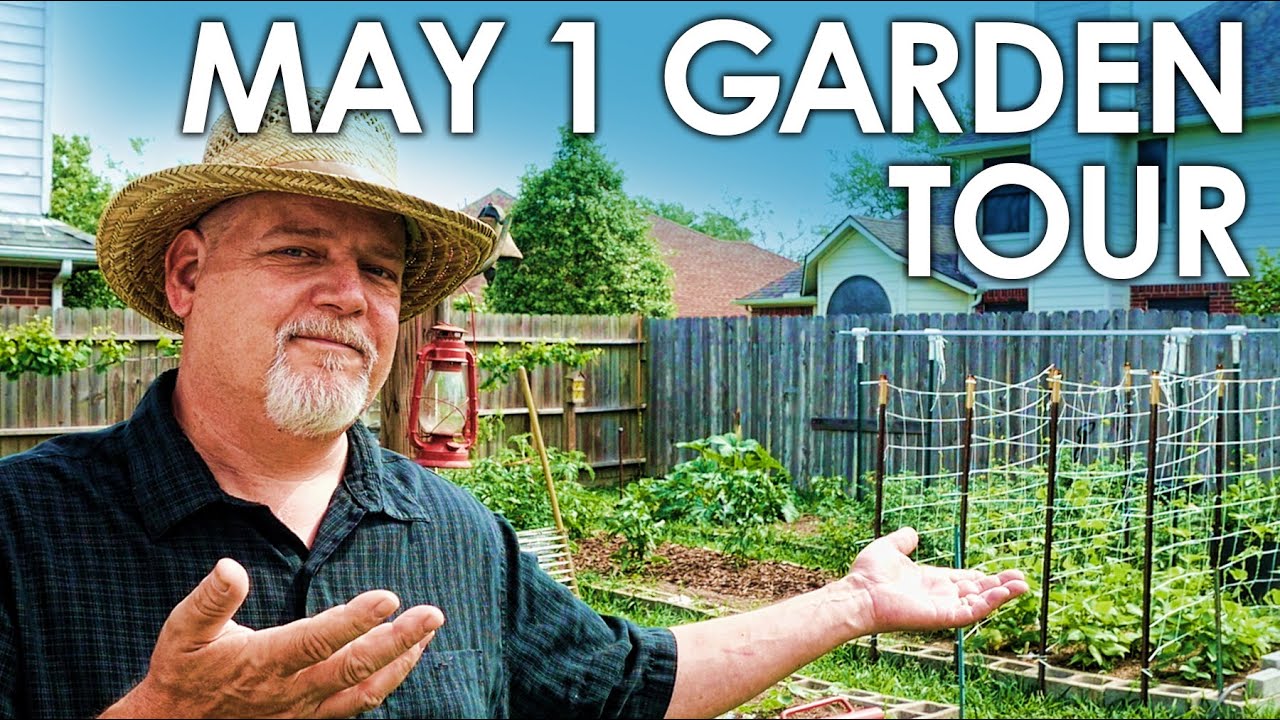 May 1st FULL GARDEN TOUR || Black Gumbo