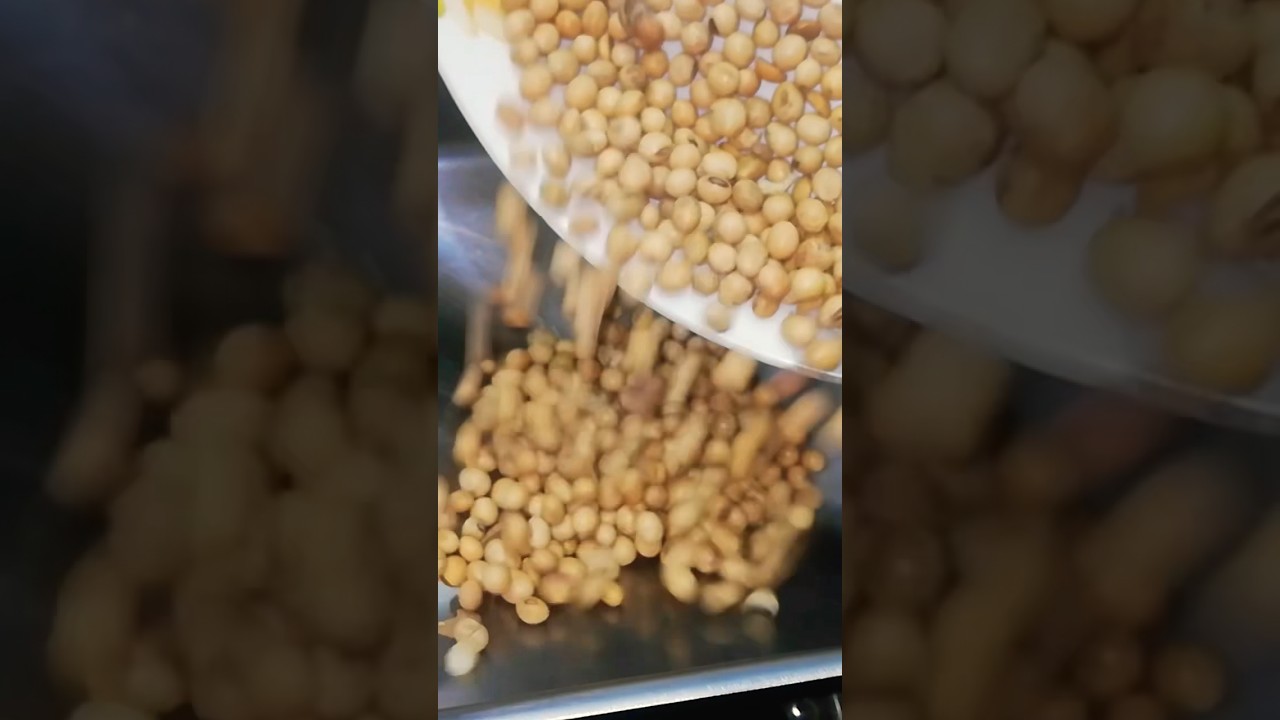 Soybean oil extraction/ oil extraction