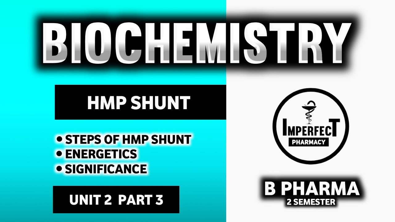 HMP Shunt Pathway | Energetics Of HMP Shunt | Significance Of HMP Shunt | Biochemistry  | B Pharma