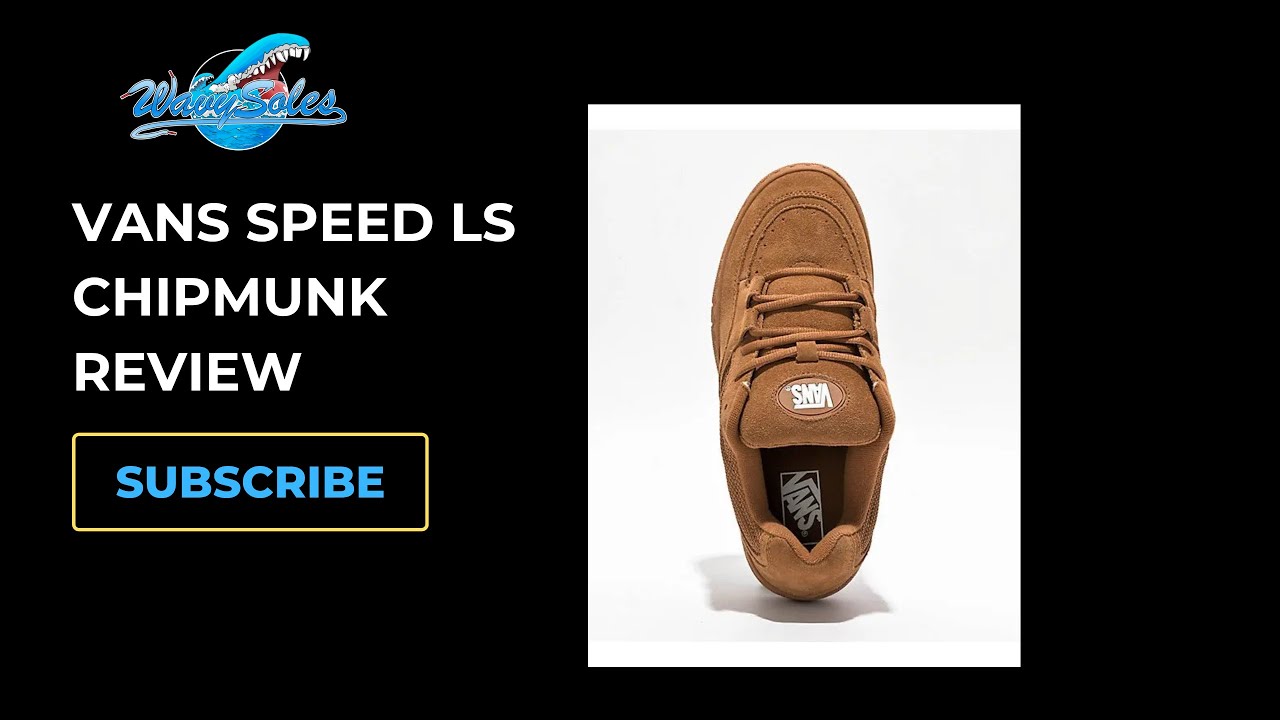 Vans Speed LS Sneaker Review