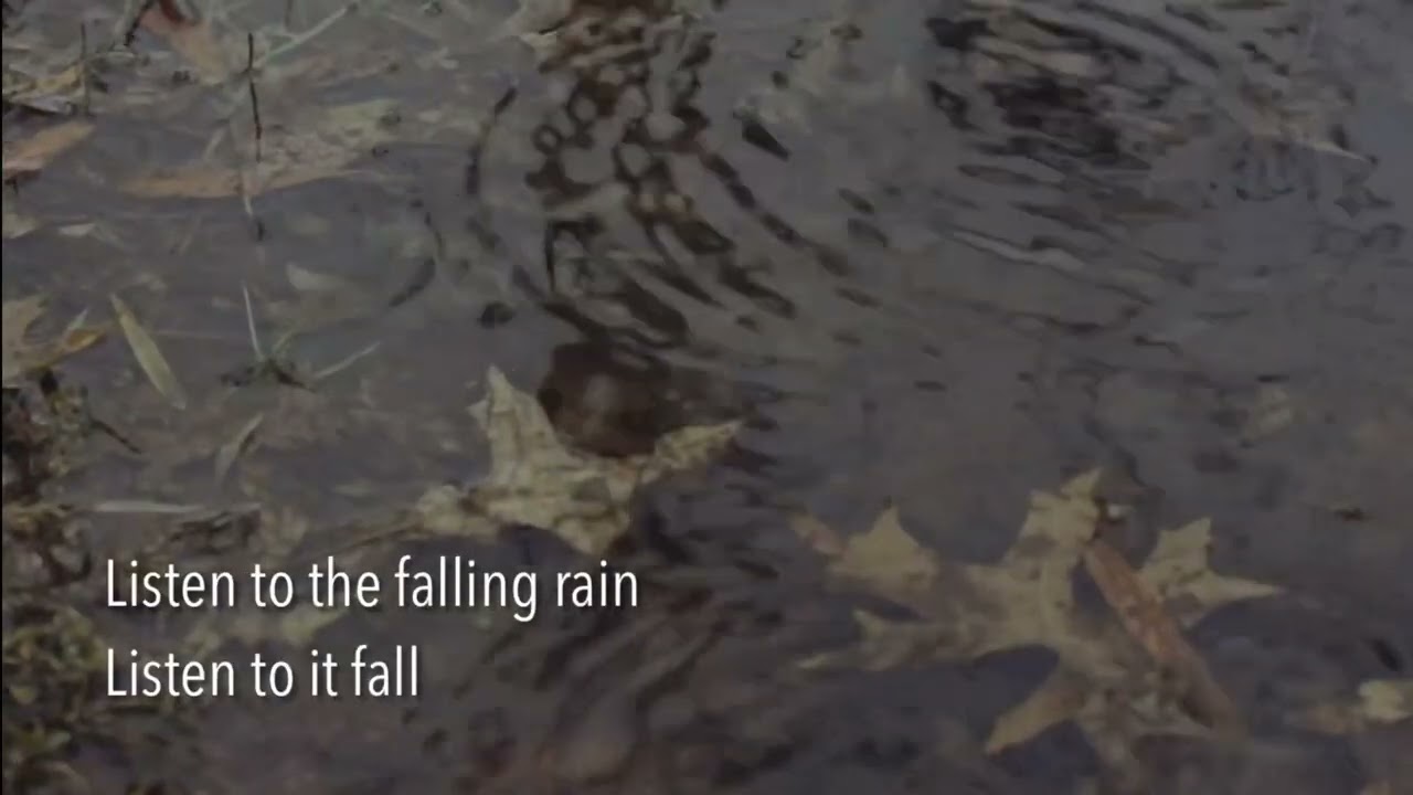 Rain - José Feliciano