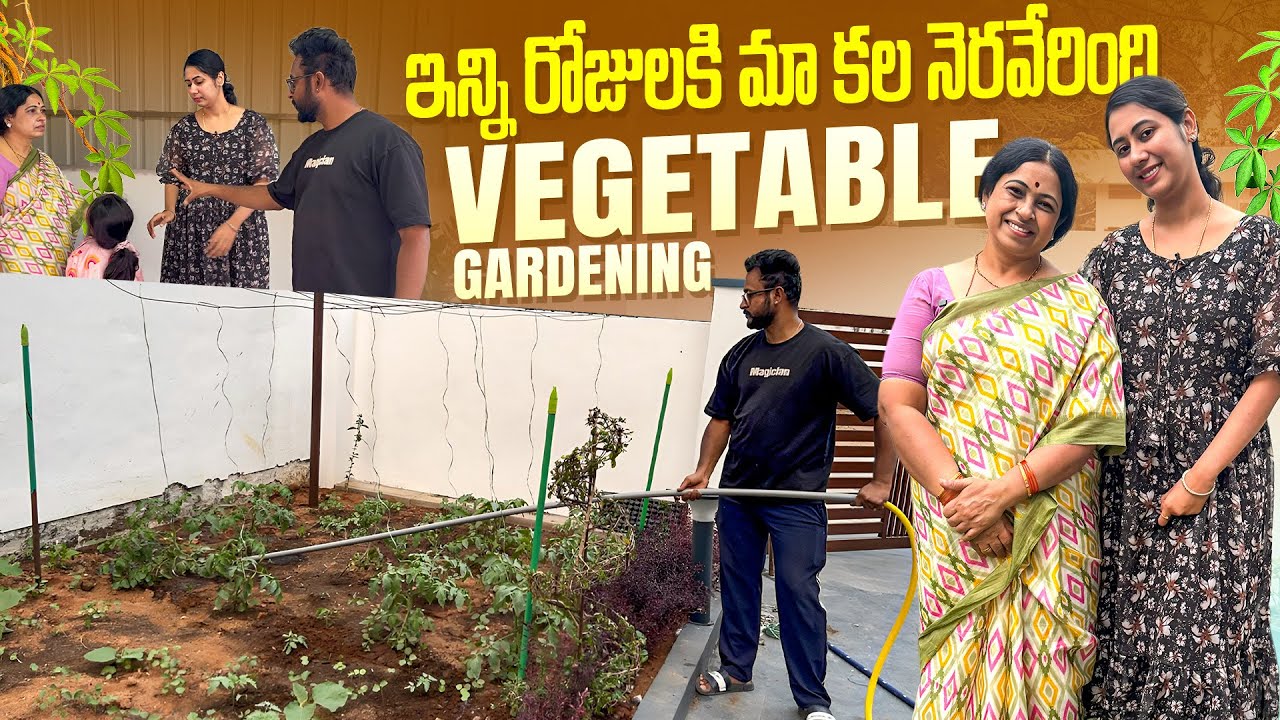 ఇన్ని రోజులకి మా కల నెరవేరింది Vegetable Gardening❤️❤️  | Stay Healthy | FamilyTime | Challa’s 
