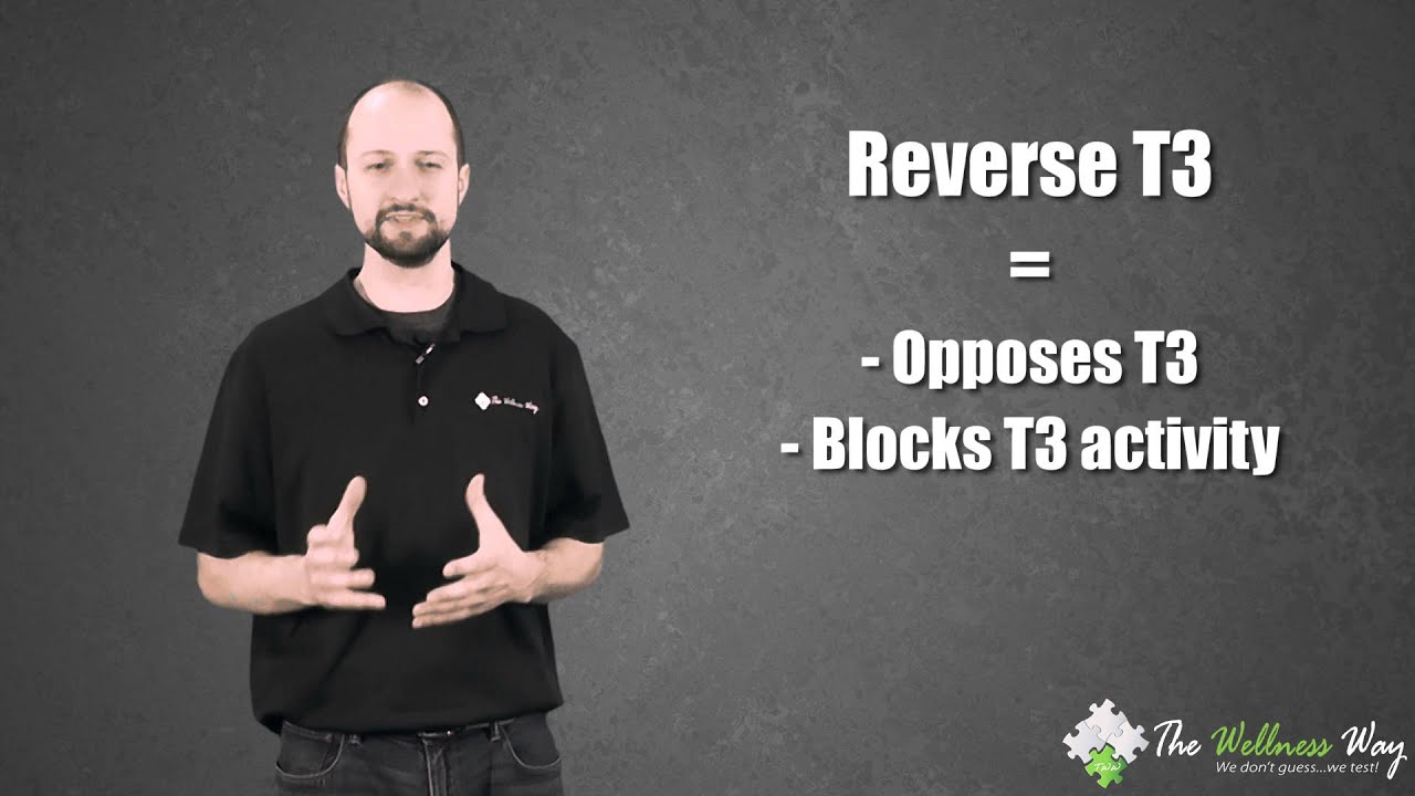Reverse T3 | The Wellness Way Lab Series