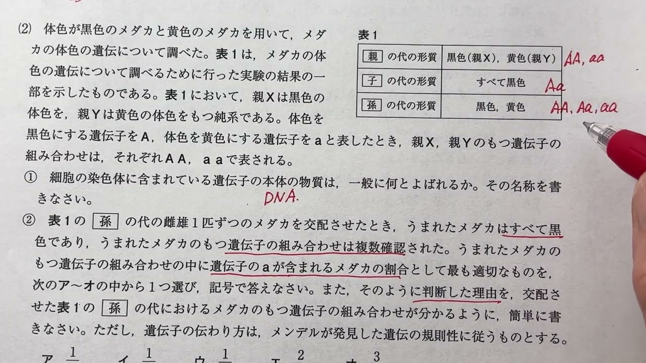 静岡県公立高校入試 R8年 理科 2(2)