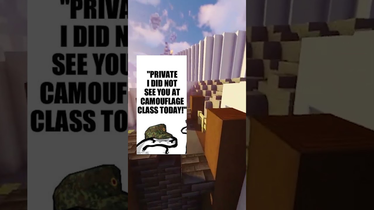 ANTI MEMES 6