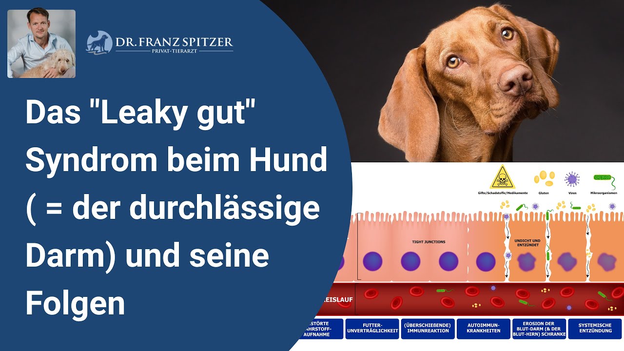 Das 